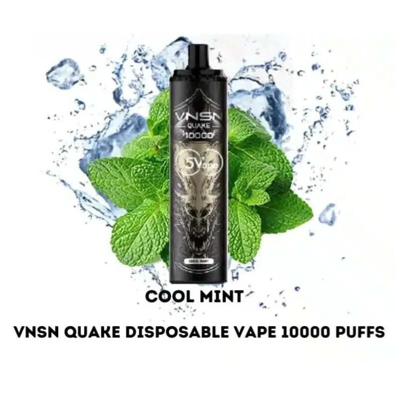 Vnsn Quake 10000 Puffs Cool Mint