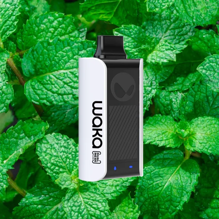Waka soPro PA10000 Disposable Vape in UAE