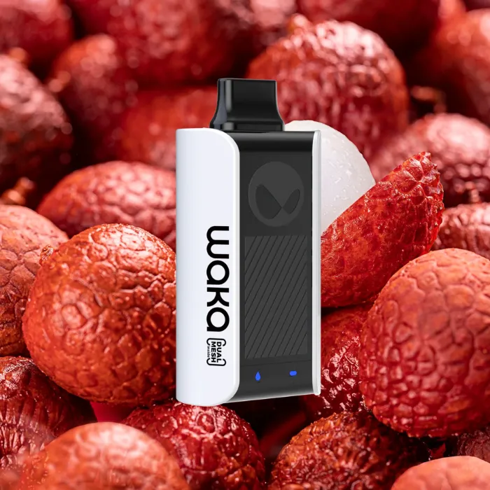 Waka soPro PA10000 Disposable Vape in UAE