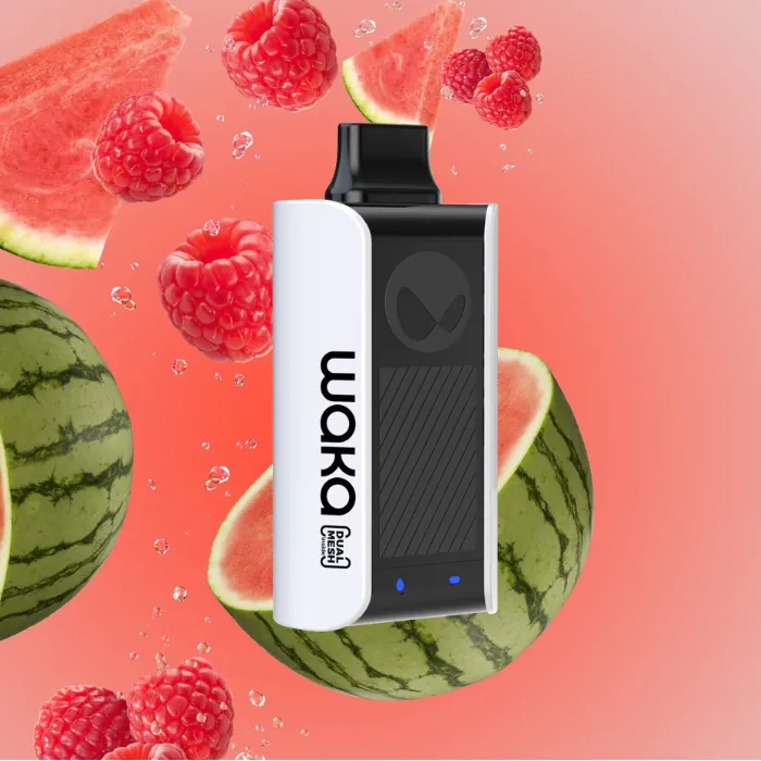 Waka soPro PA10000 Disposable Vape in UAE