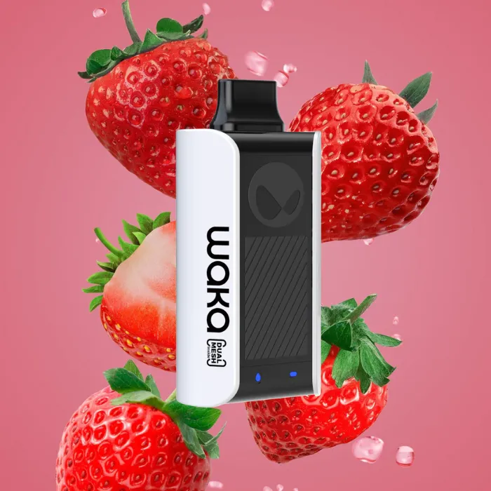Waka soPro PA10000 Disposable Vape in Dubai