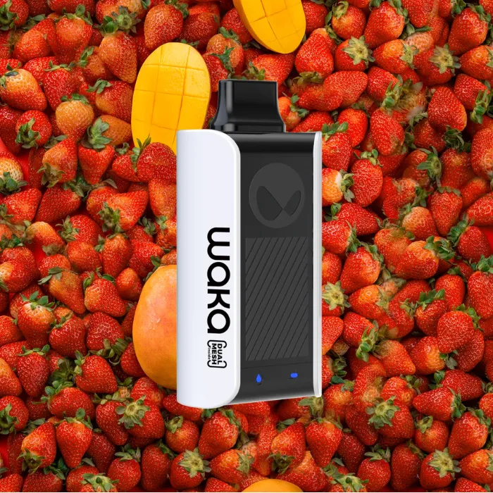 Waka soPro PA10000 Disposable Vape in Dubai